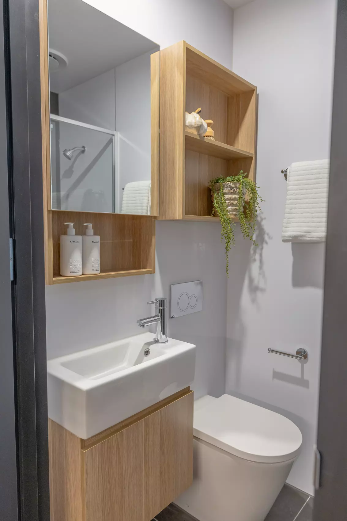 Signature Studio Flex - R62_7333.jpg